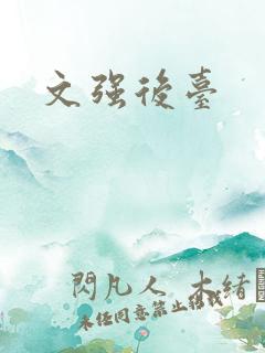 文强后台