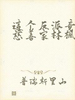 这个反派竟然是慈善家林枫