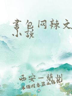 书包网辣文全本小说