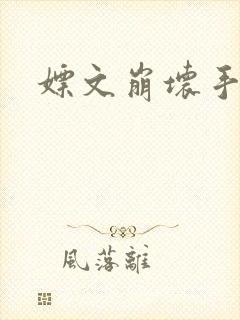 嫖文崩坏手册