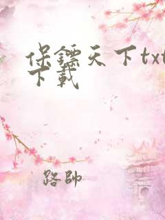 保镖天下txt下载