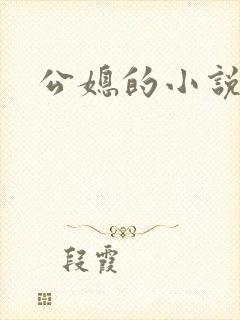 公媳的小说