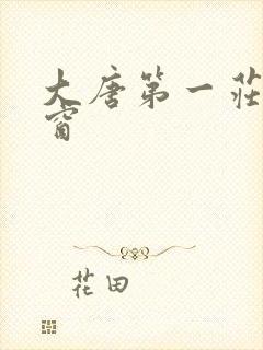 大唐第一庄无弹窗