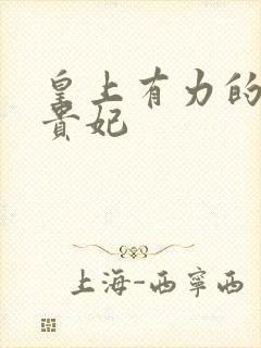 皇上有力的撞着贵妃