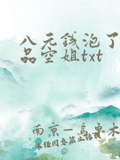 八元钱泡了个极品空姐txt