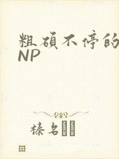 粗硕不停的进出NP