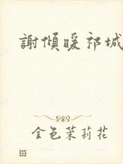 谢倾暖祁城笙