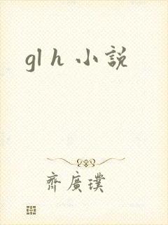 gl h 小说
