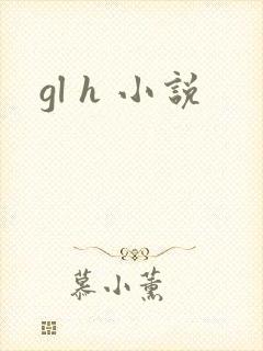 gl h 小说