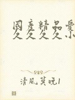 国产精品爱久久久久久久小说