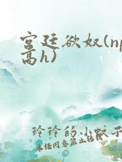 宫廷欲奴(np高h)