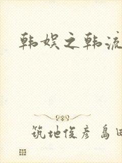 韩娱之韩流全球