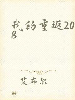 我的重返2008