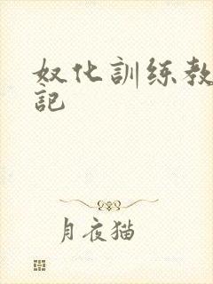 奴化训练教程日记