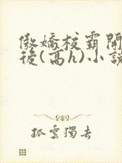 傲娇校霸开荤以后(高h)小说