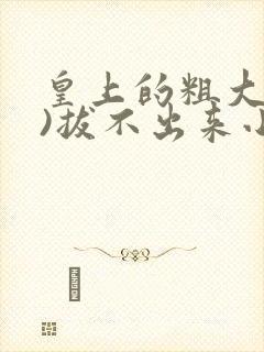 皇上的粗大(h)拔不出来小说