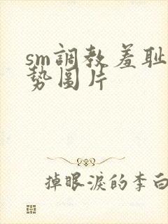 sm调教羞耻姿势图片