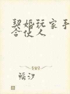 契婚玩家手册之合伙人