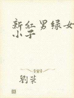 新红男绿女之坏小子