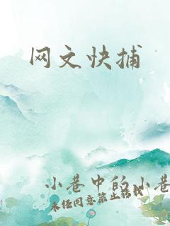 网文快捕