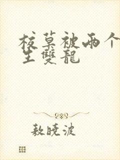 校草被两个体育生双龙