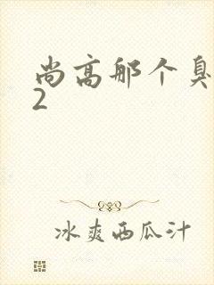 尚高那个臭小子2