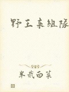 野王来组队小说