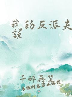 我的反派夫君小说