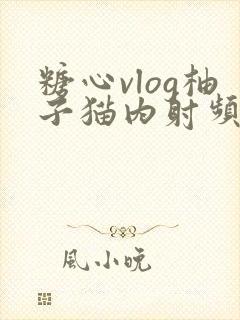 糖心vlog柚子猫内射频