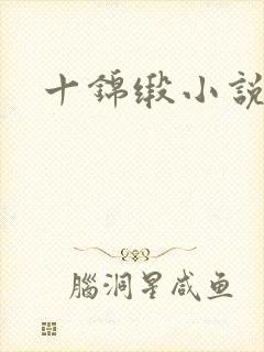 十锦缎小说
