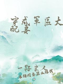 穿成军区大佬女配妻