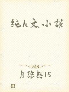 纯h文小说