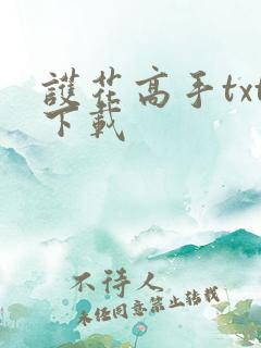 护花高手txt下载