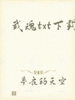 武魂txt下载
