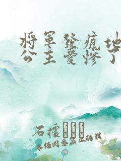 将军发疯地撞着公主爱惨了公主