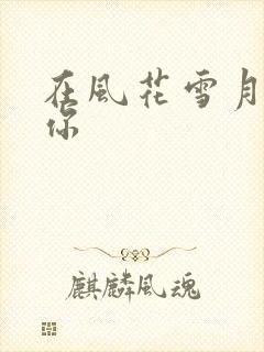 在风花雪月里等你