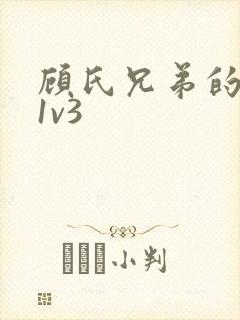 顾氏兄弟的南宁1v3