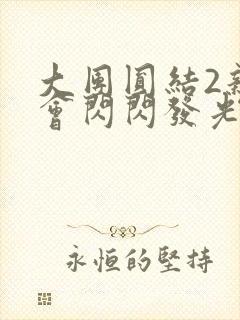 大团圆结2亲情会闪闪发光亲情会2