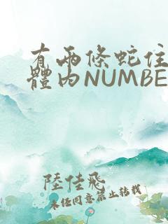 有两条蛇住在我体内NUMBER7