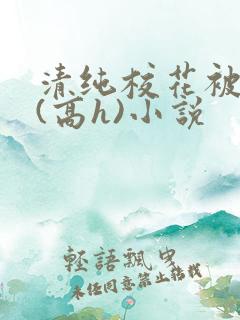 清纯校花被调教(高h)小说
