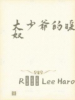 大少爷的暖床小奴