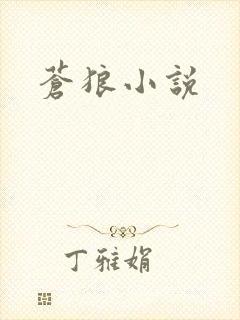 苍狼小说
