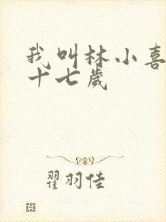 我叫林小喜今年十七岁