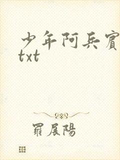 少年阿兵宾小说txt