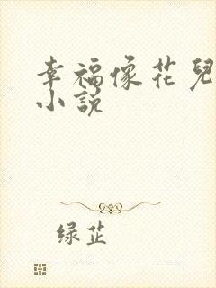 幸福像花儿一样小说