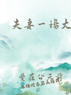 夫妻一场大结局