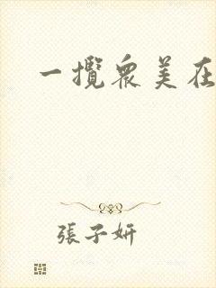 一揽众美在三国