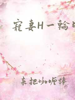 宠妻H一轮明月