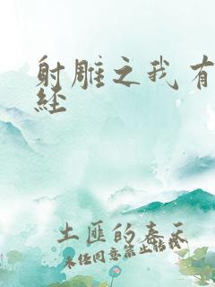 射雕之我有太玄经