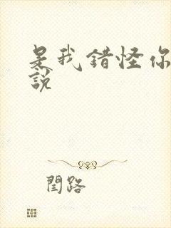 是我错怪你了小说